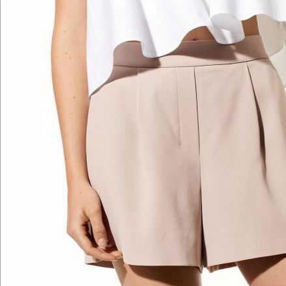 Aritzia Babaton Cohen Short